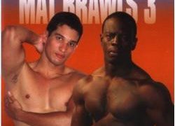 Mat Brawls 3