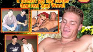 Pat and Sam – Stud Wood 3