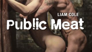 Public Meat Plus Bonus (2016)