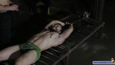Bearded Pow Part Two (2017)